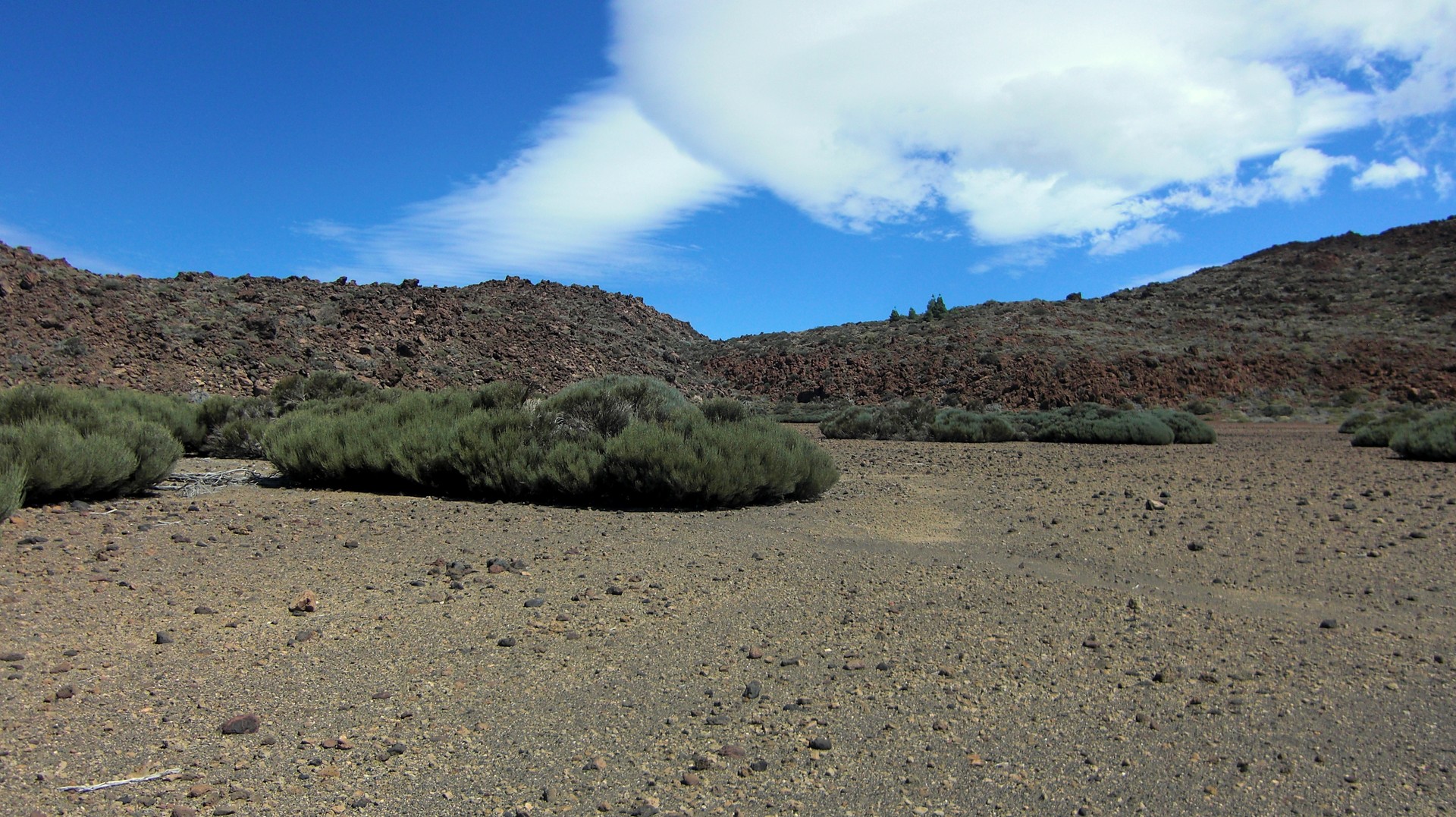 Teide Nationalpark (1)