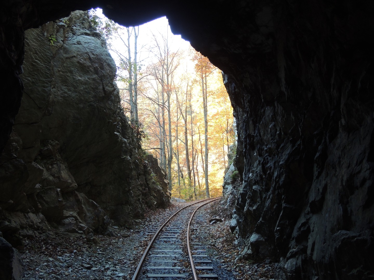 Tunnel Vision