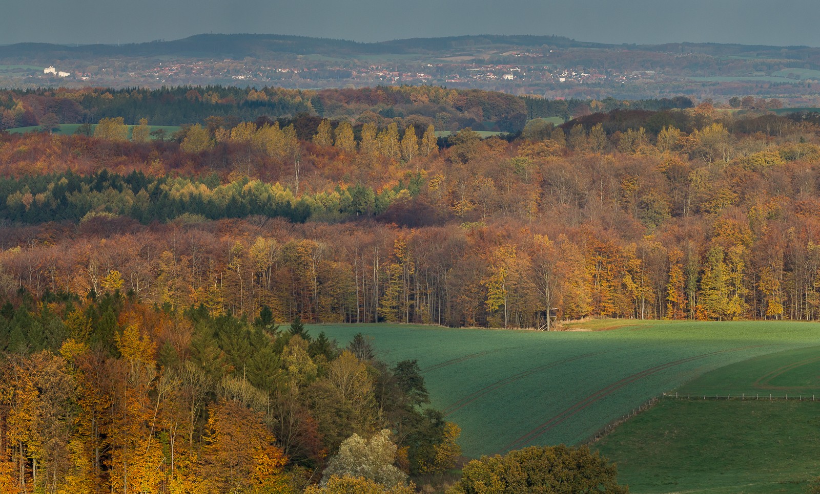 Autumn Colors