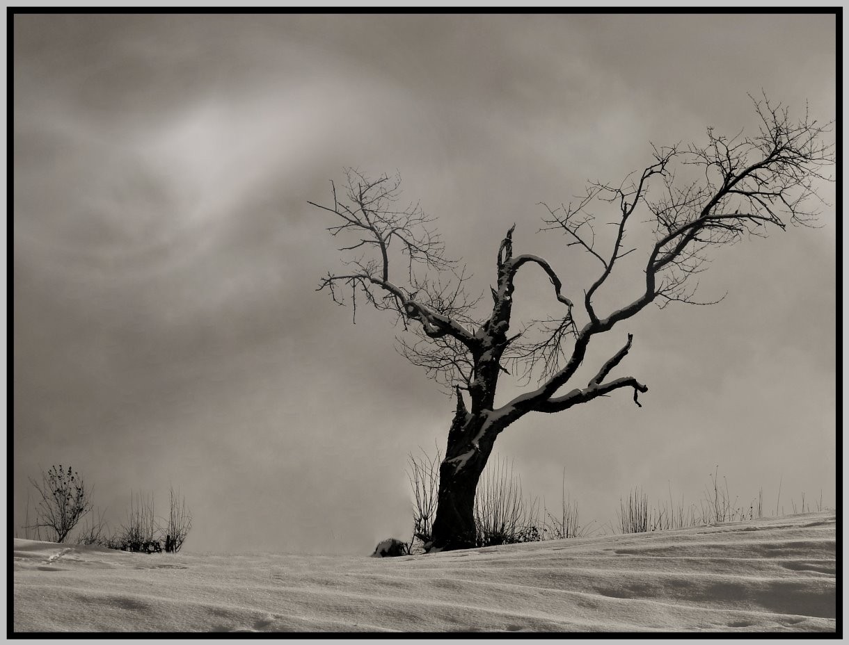 Stille Natur....