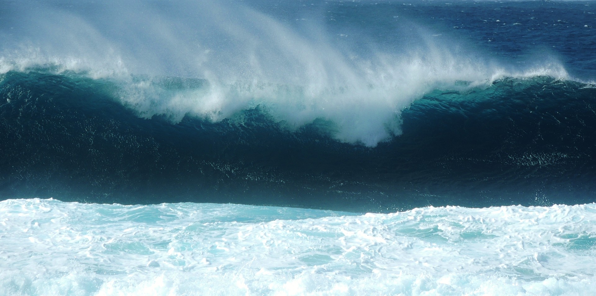 Brave Wave