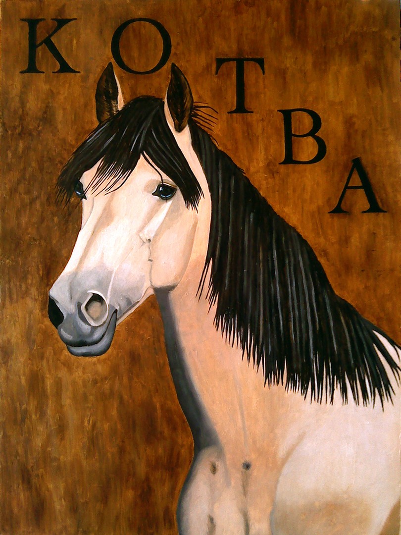 Araber Berber Stute "Kotba"