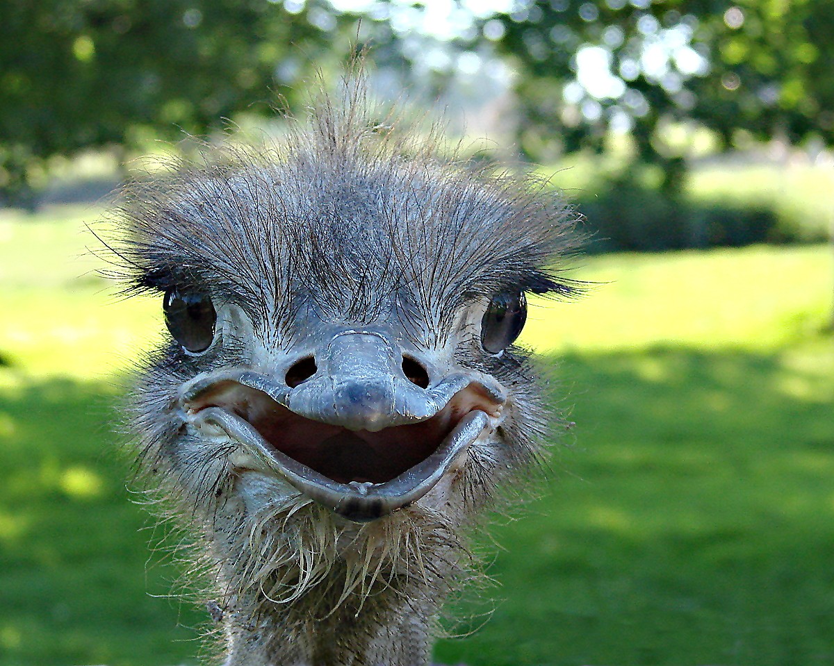 Guten Morgen.......