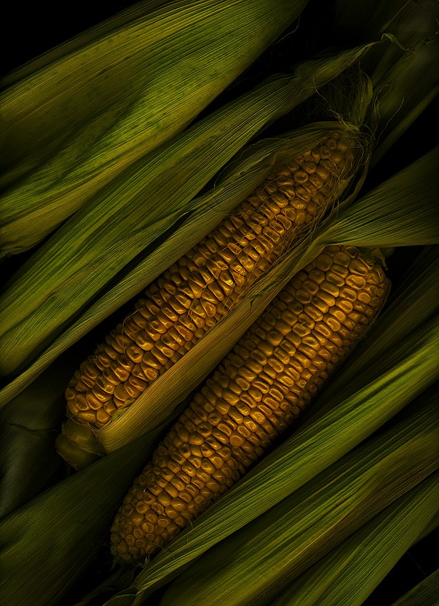 earthArt corn