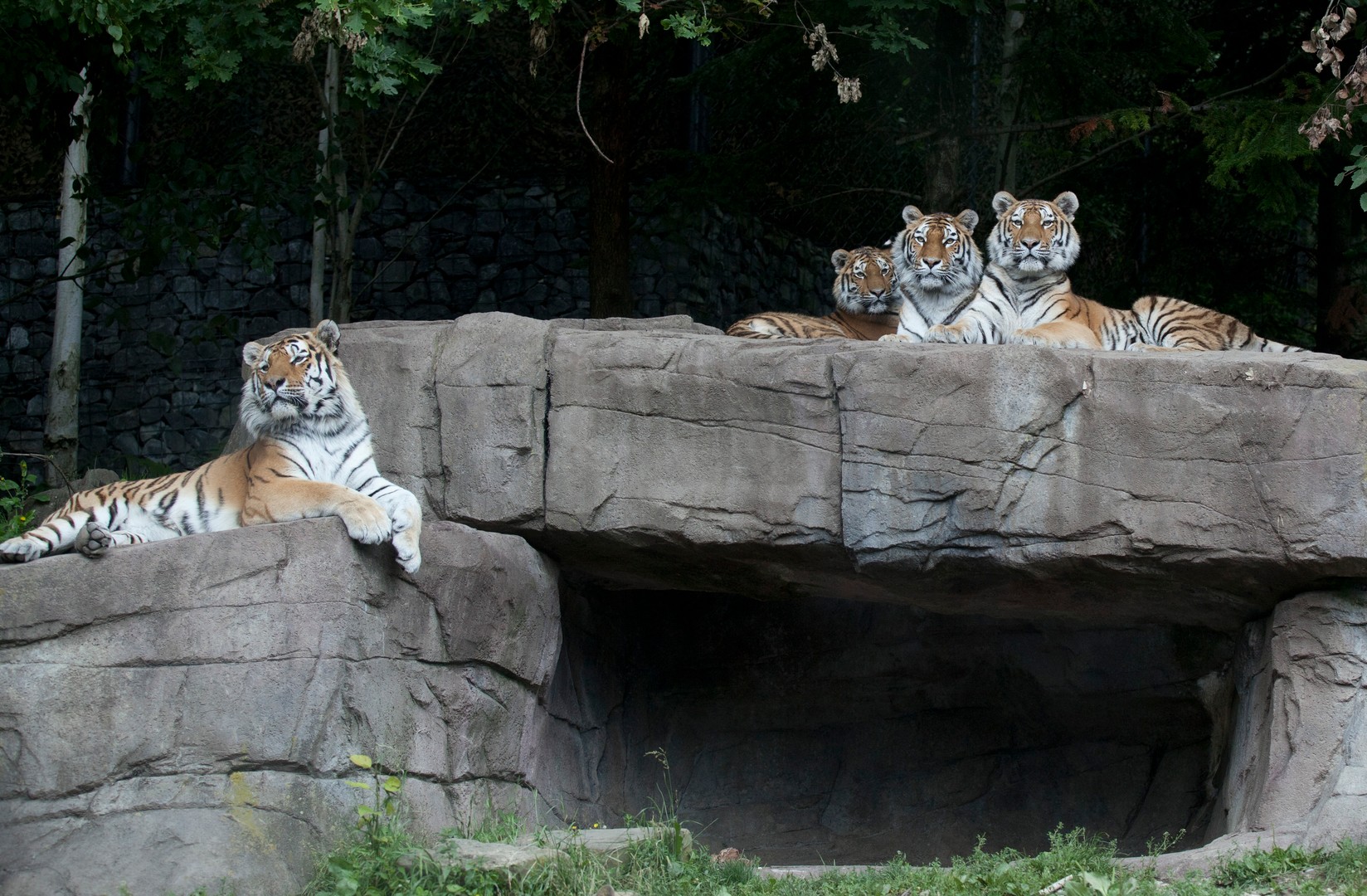 Eine schrecklich nette Familie