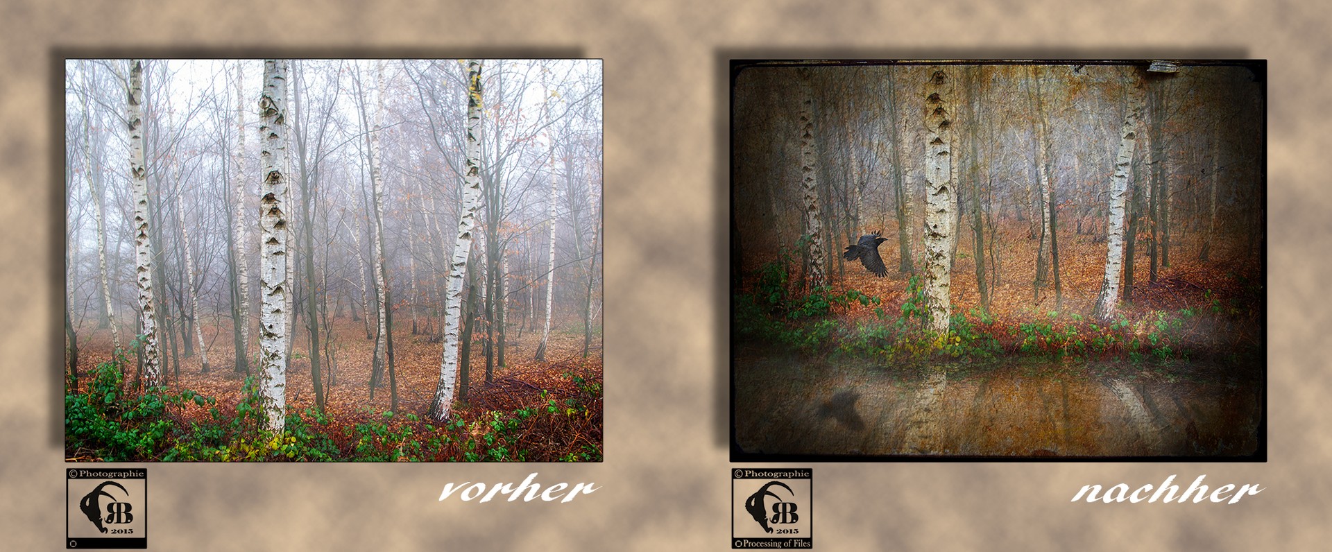 Birkenwald