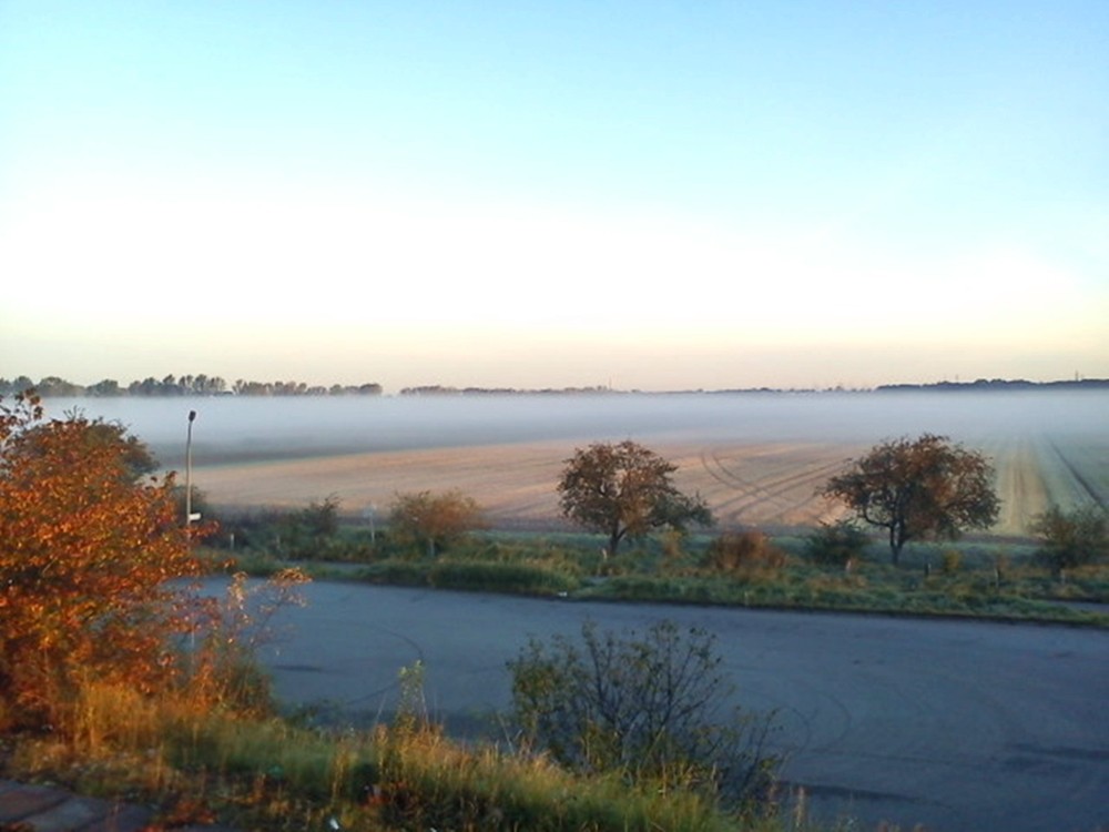 Herbstnebel