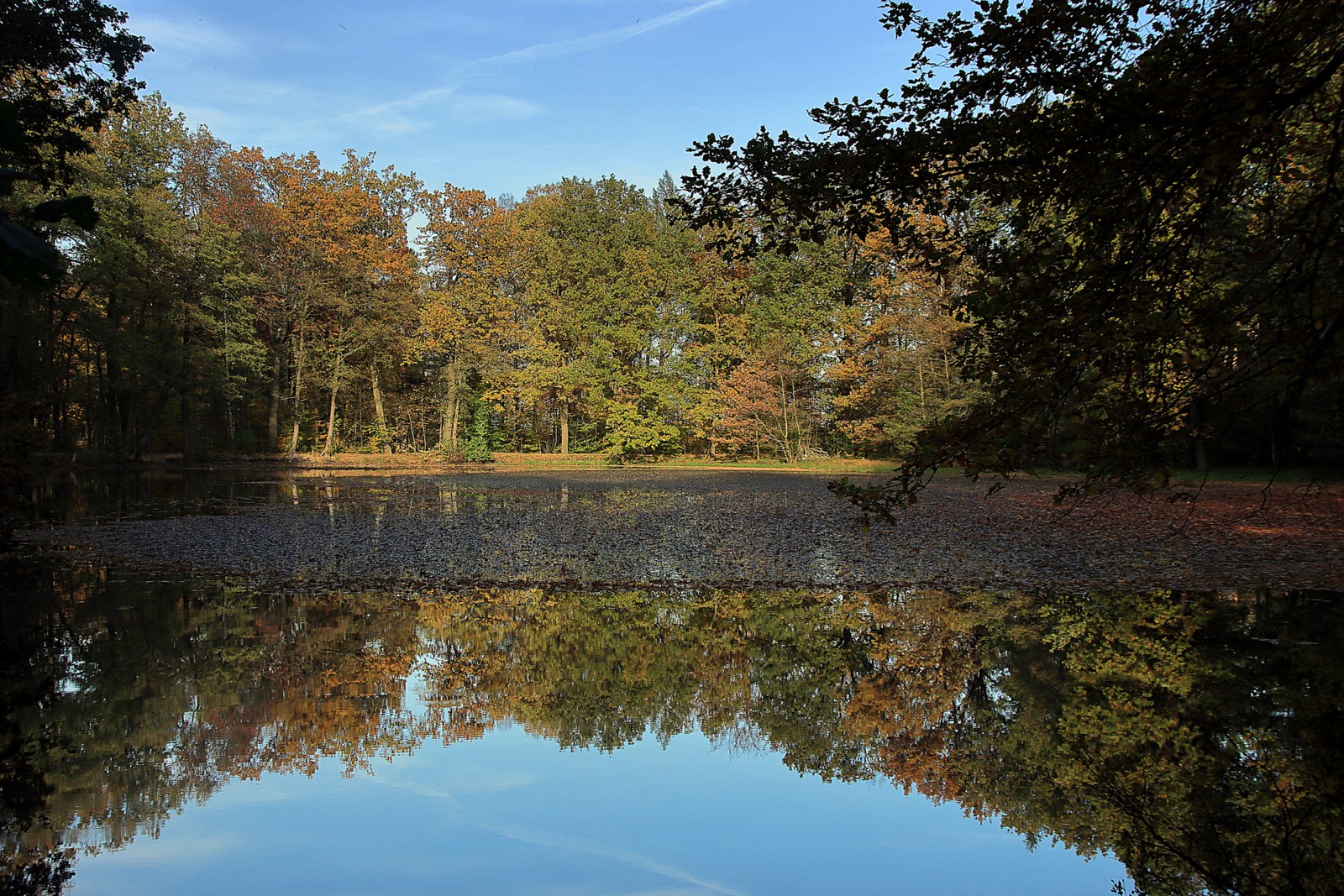 Schwarzer Teich