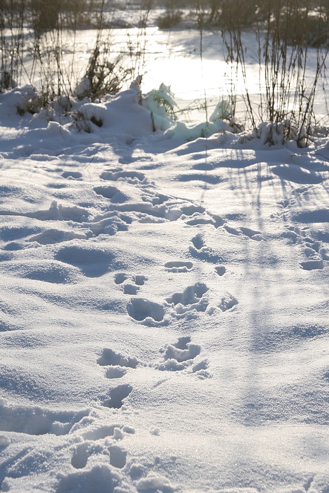 Deine Spuren im Schnee