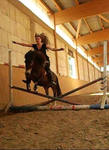 Horses lend us the wings we lack!