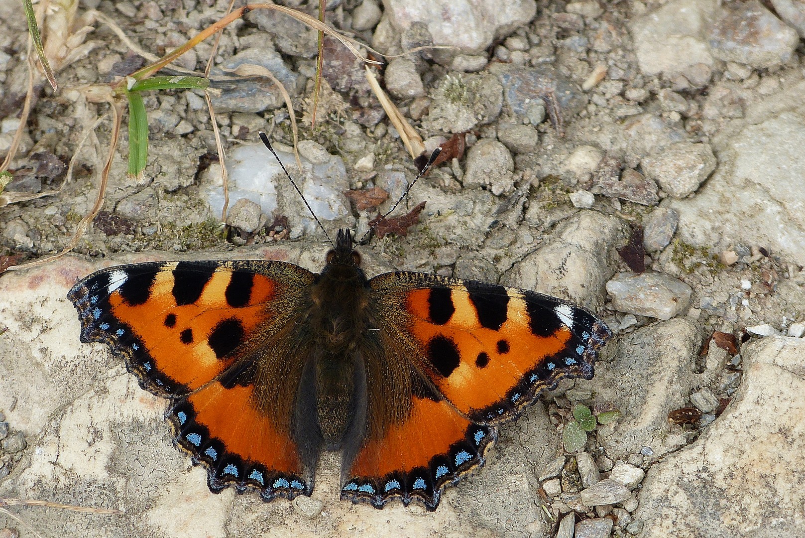 Er war so freundlich !