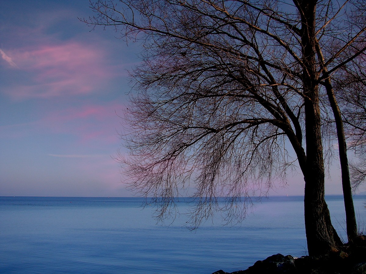 Stille