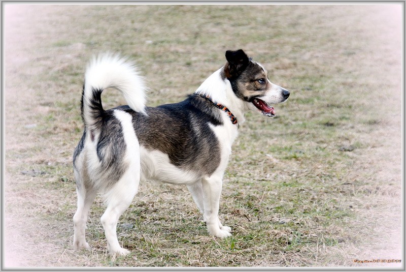 Das ist Jacky