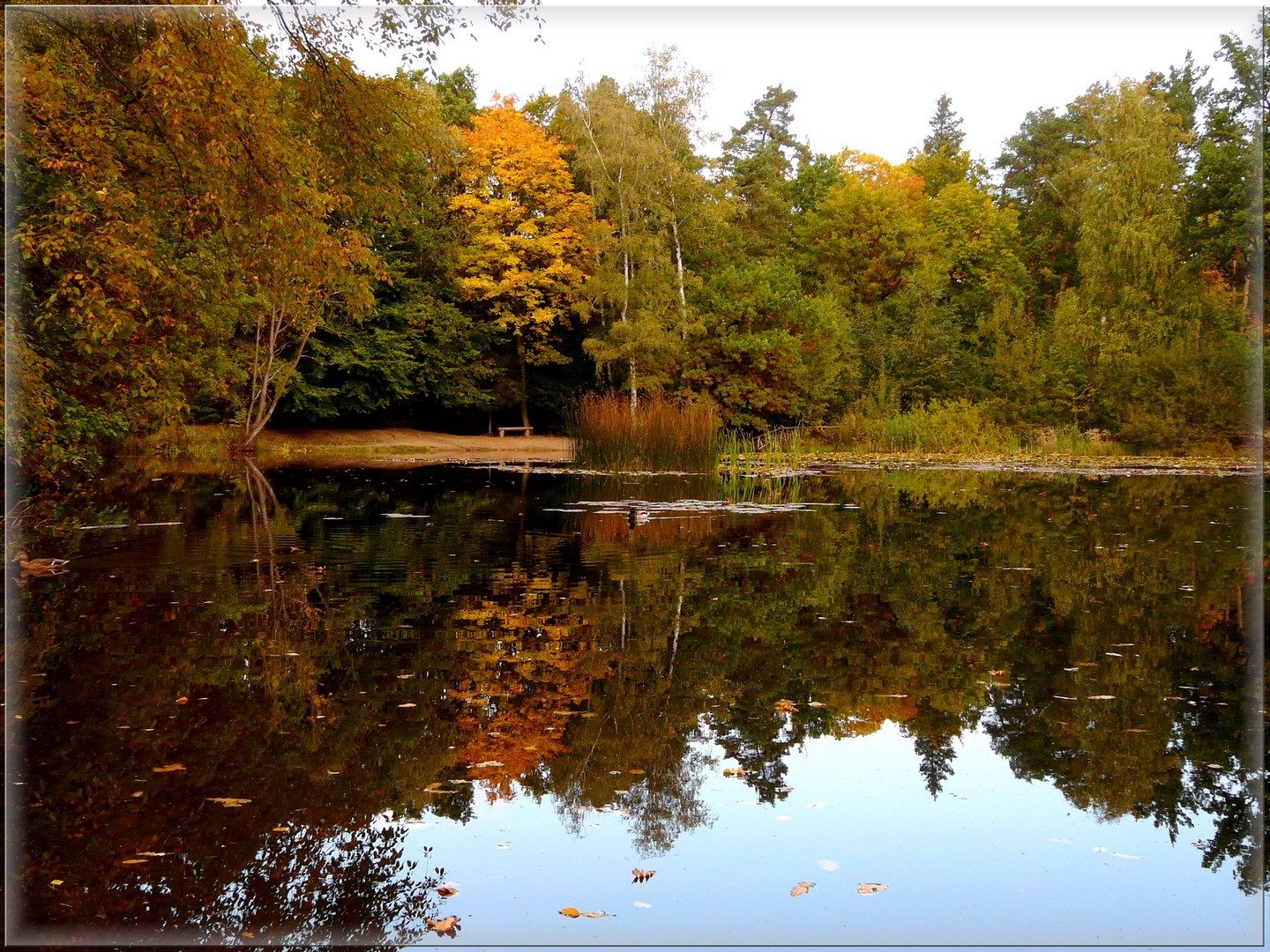 Herbstliche Spiegelung