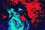 Nightdog in to the fire