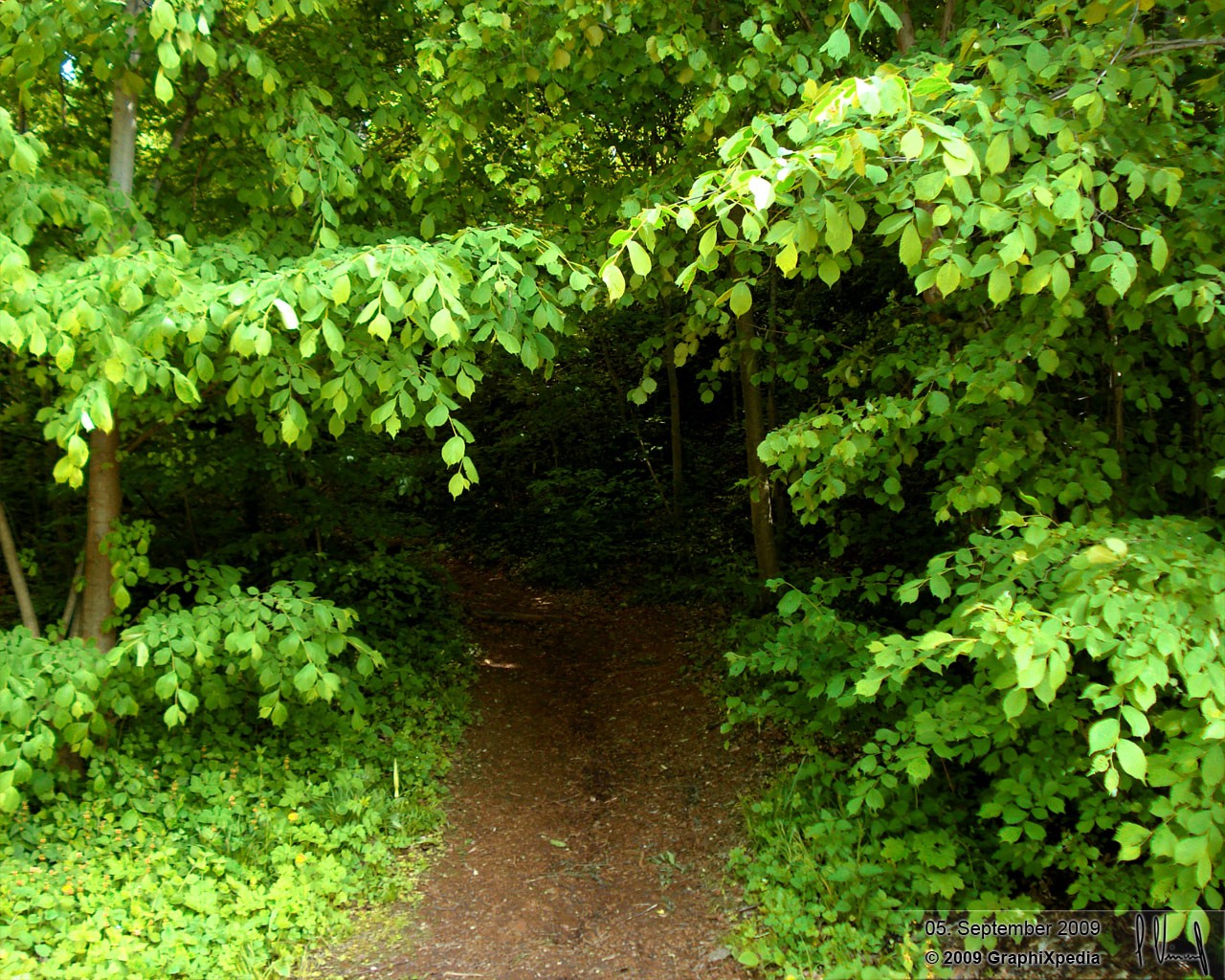 Nähe der Aaler Erzgrube