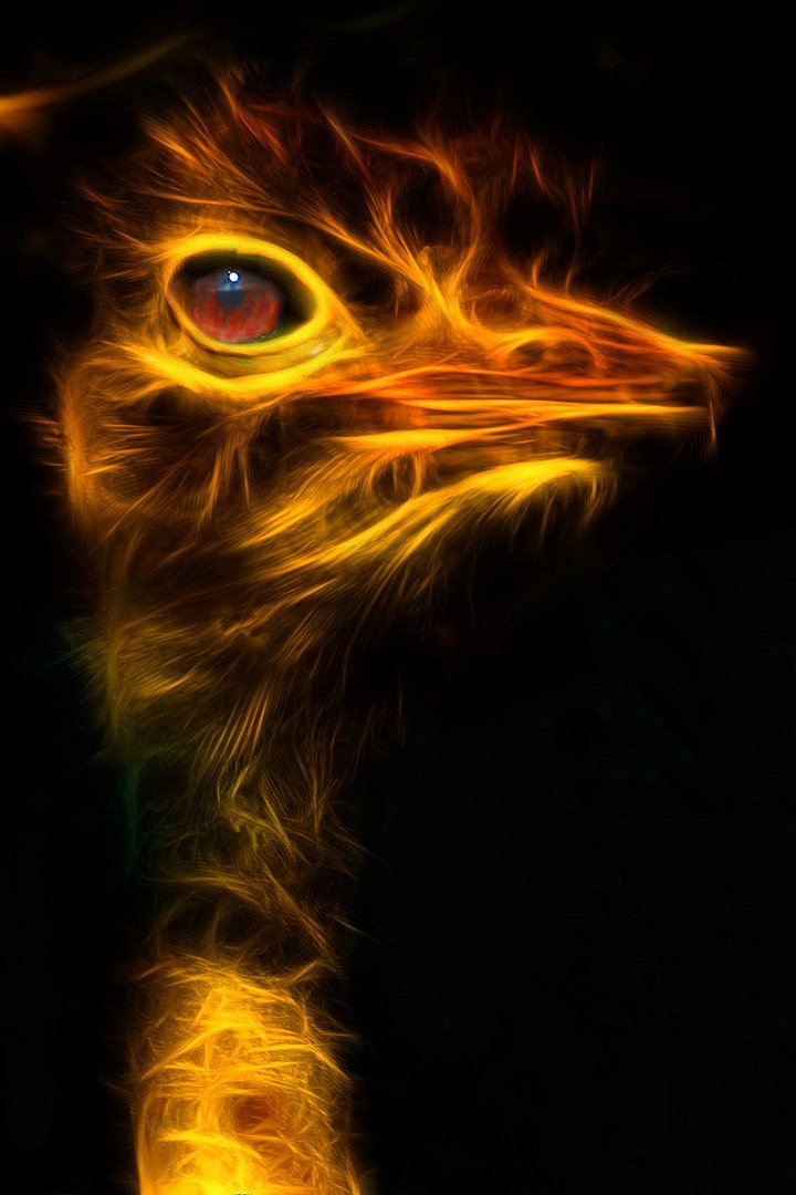 schner gruss von einem(Blumen(Strauss