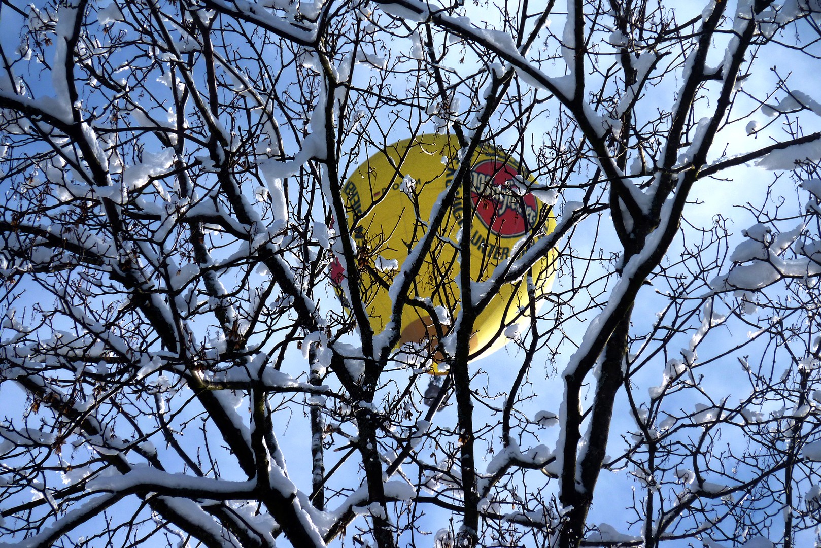 Ballon hinter Ästen