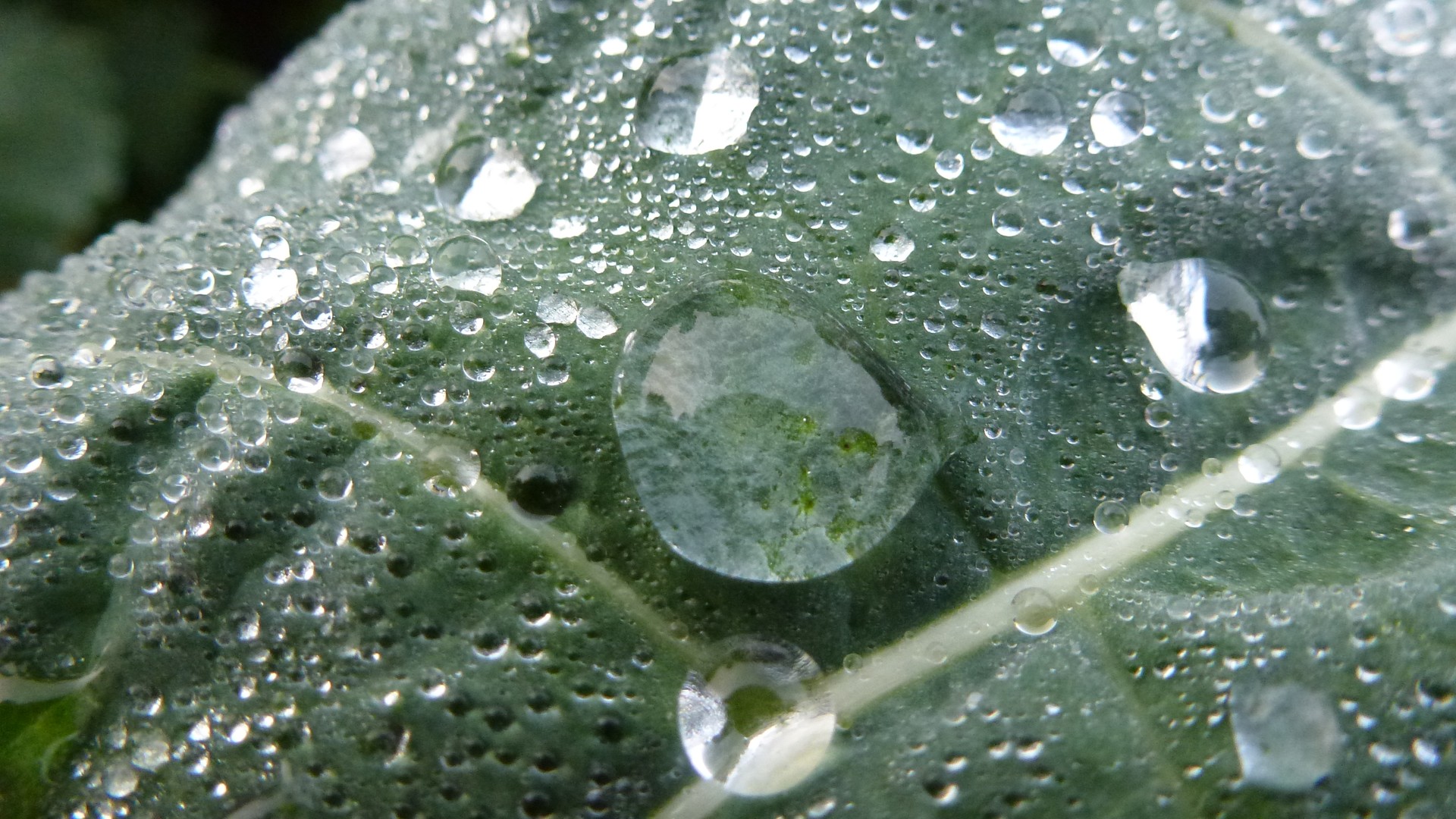 Après la pluie