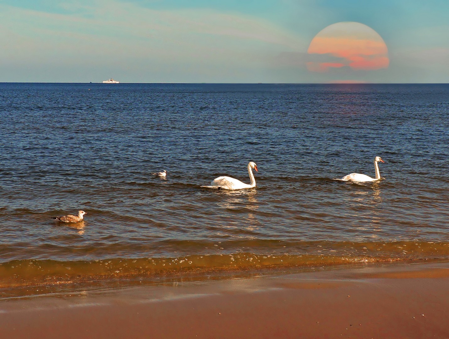 Sonne & Meer