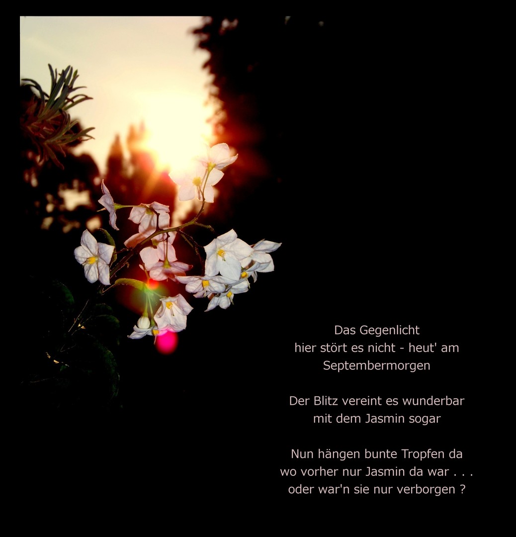 Septembermorgen