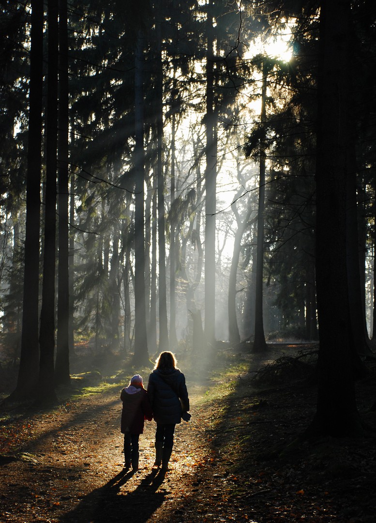 Der Weg ins Licht