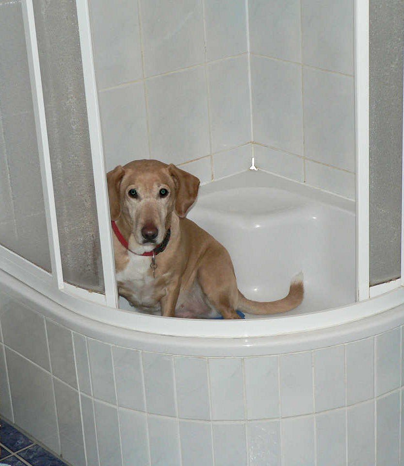 Ab und zu muss ich das über mich ergehen lassen