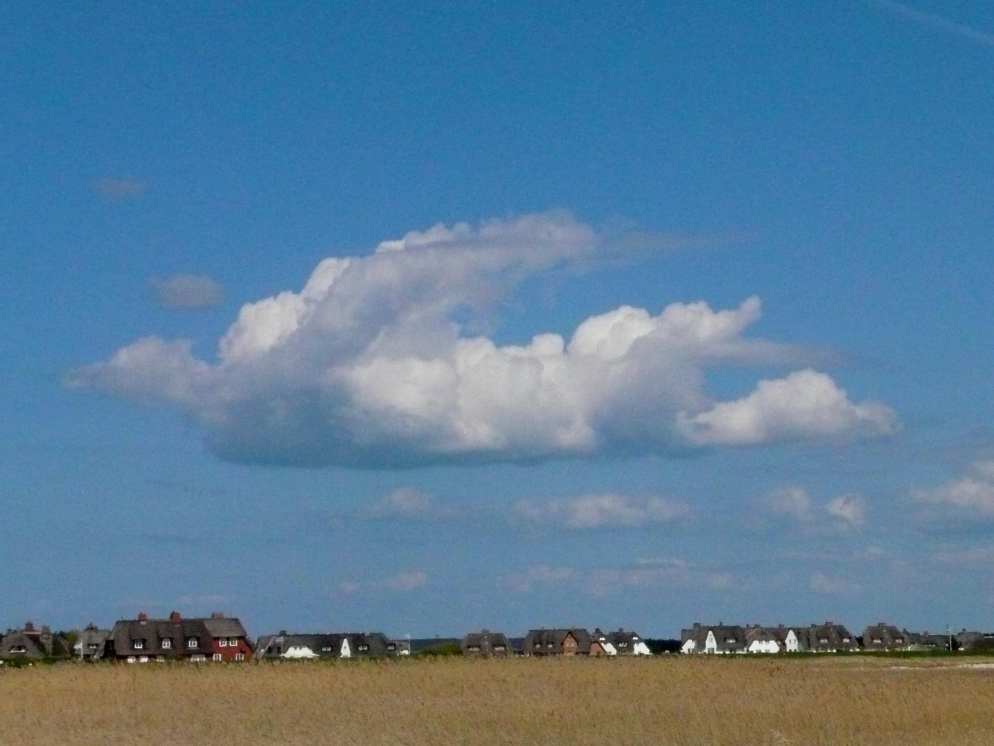 Kommt ein Vogel geflogen