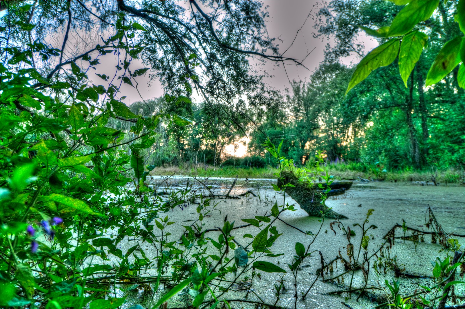 Lake