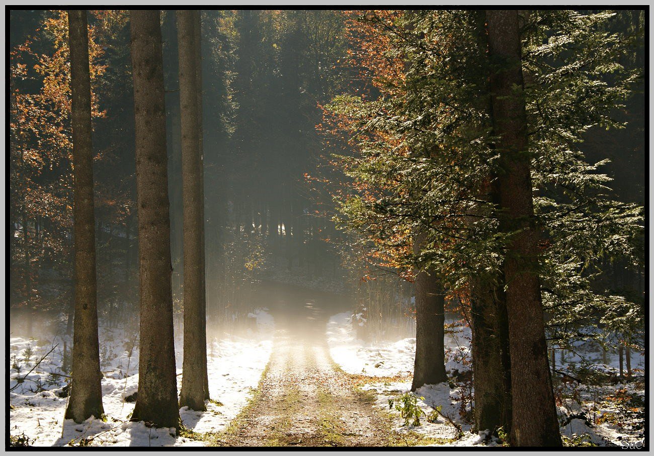 Herbstliche Synfonie