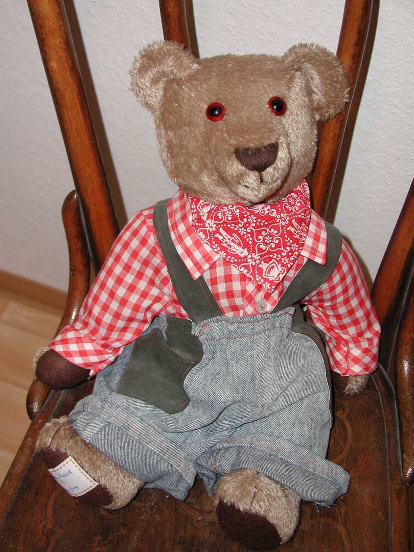 Teddy im Rampenlicht