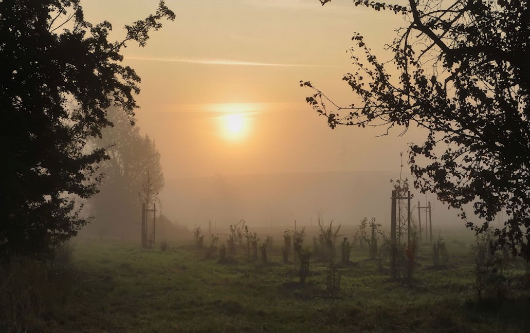 Herbstmorgen