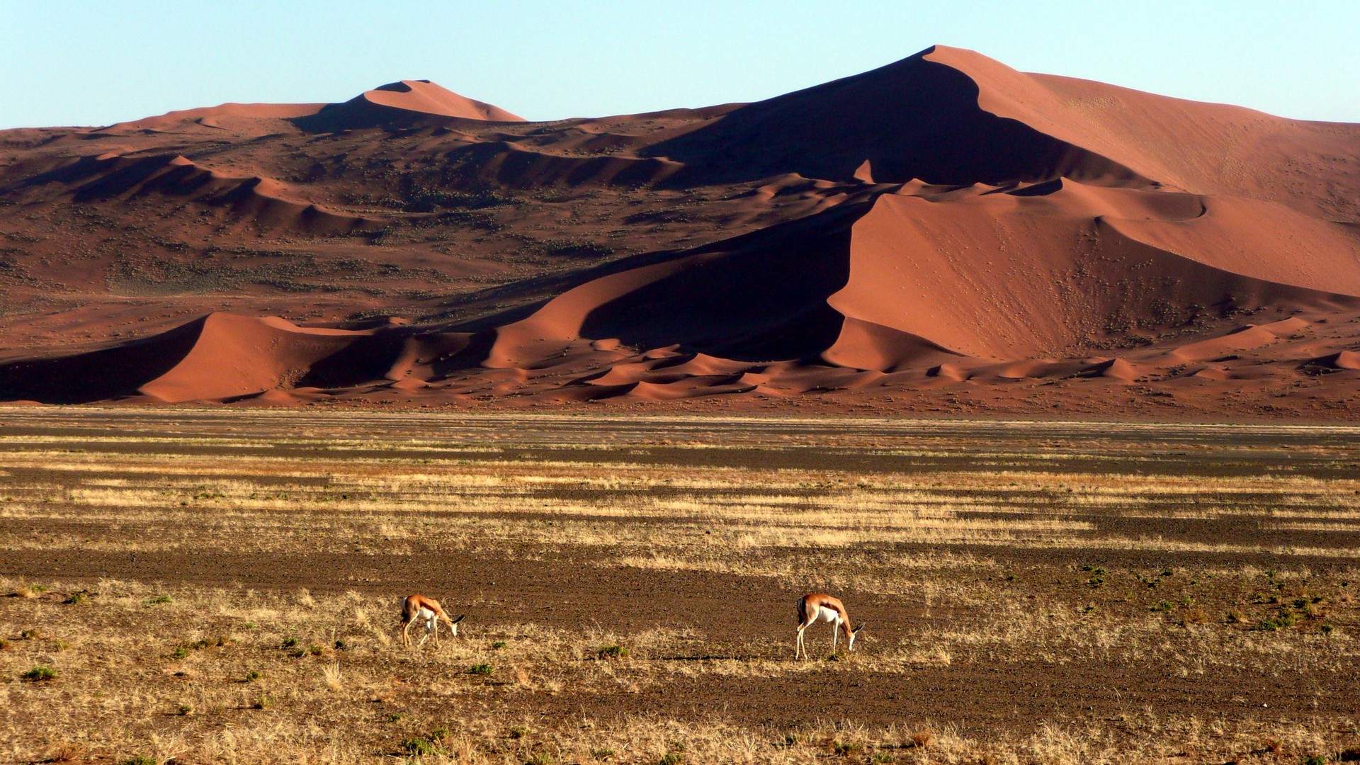 Sossuvlei Dünen