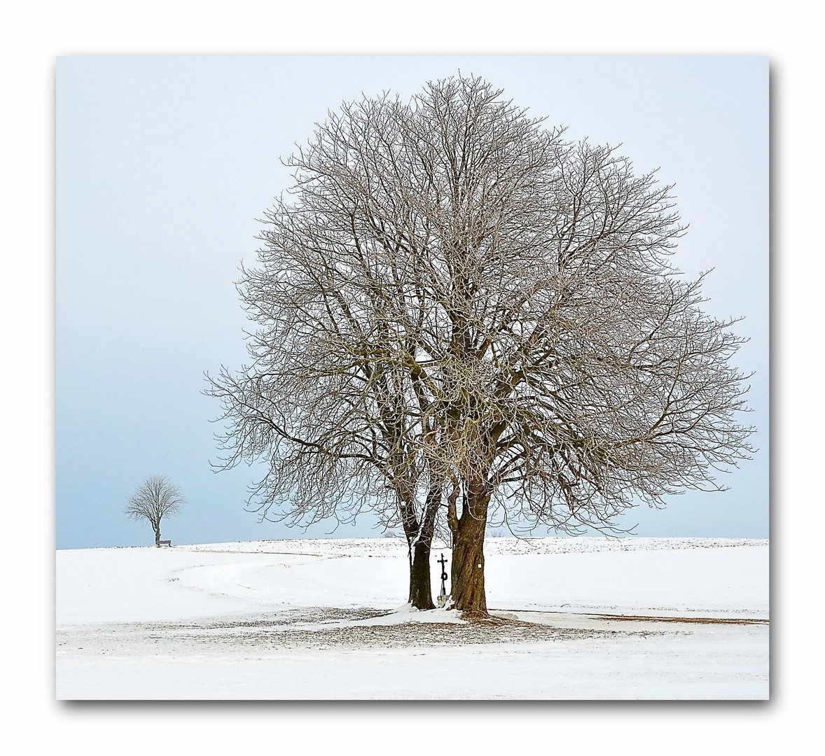 Fast allein auf weiter Flur