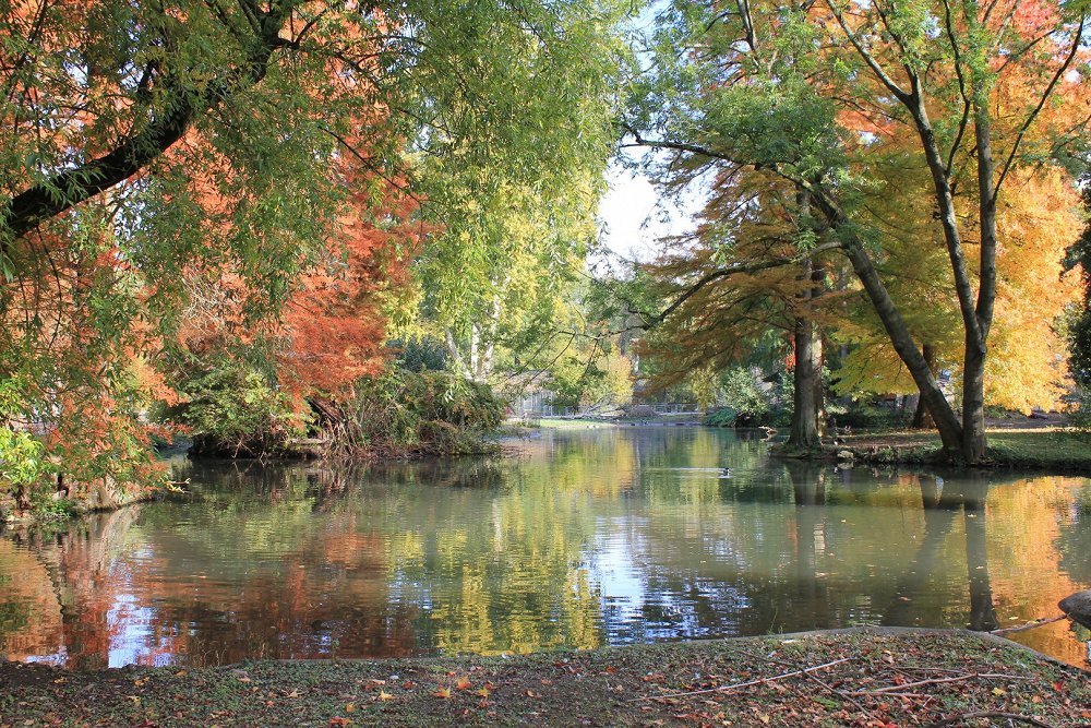 Herbstfarben in der Langen Erlen