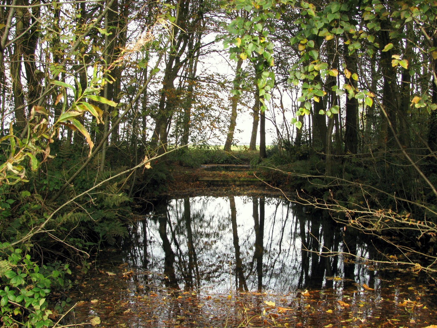 herfst