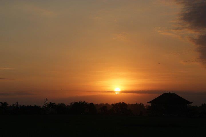 Sonnenuntergang in Negara - Bali - Indonesien.