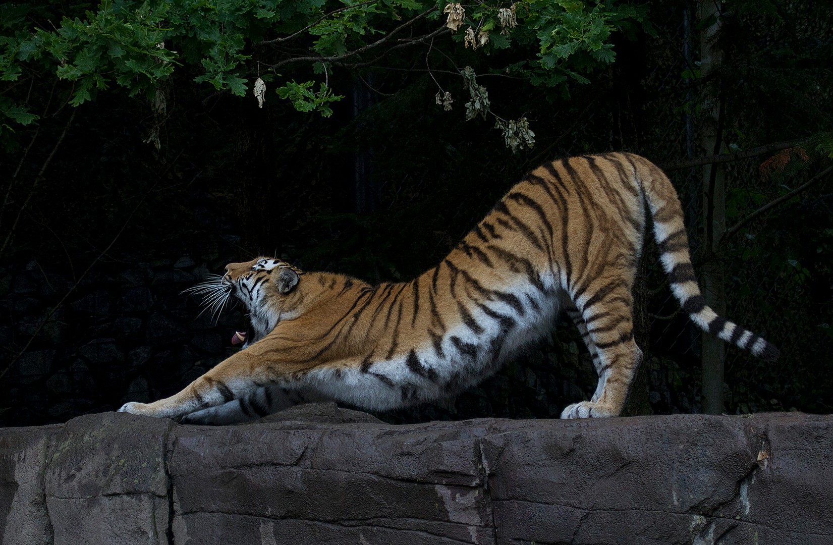 a litte bit of streching -