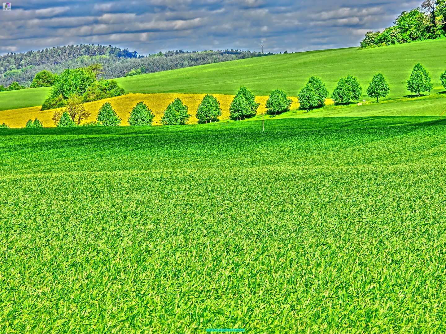 Landschaft