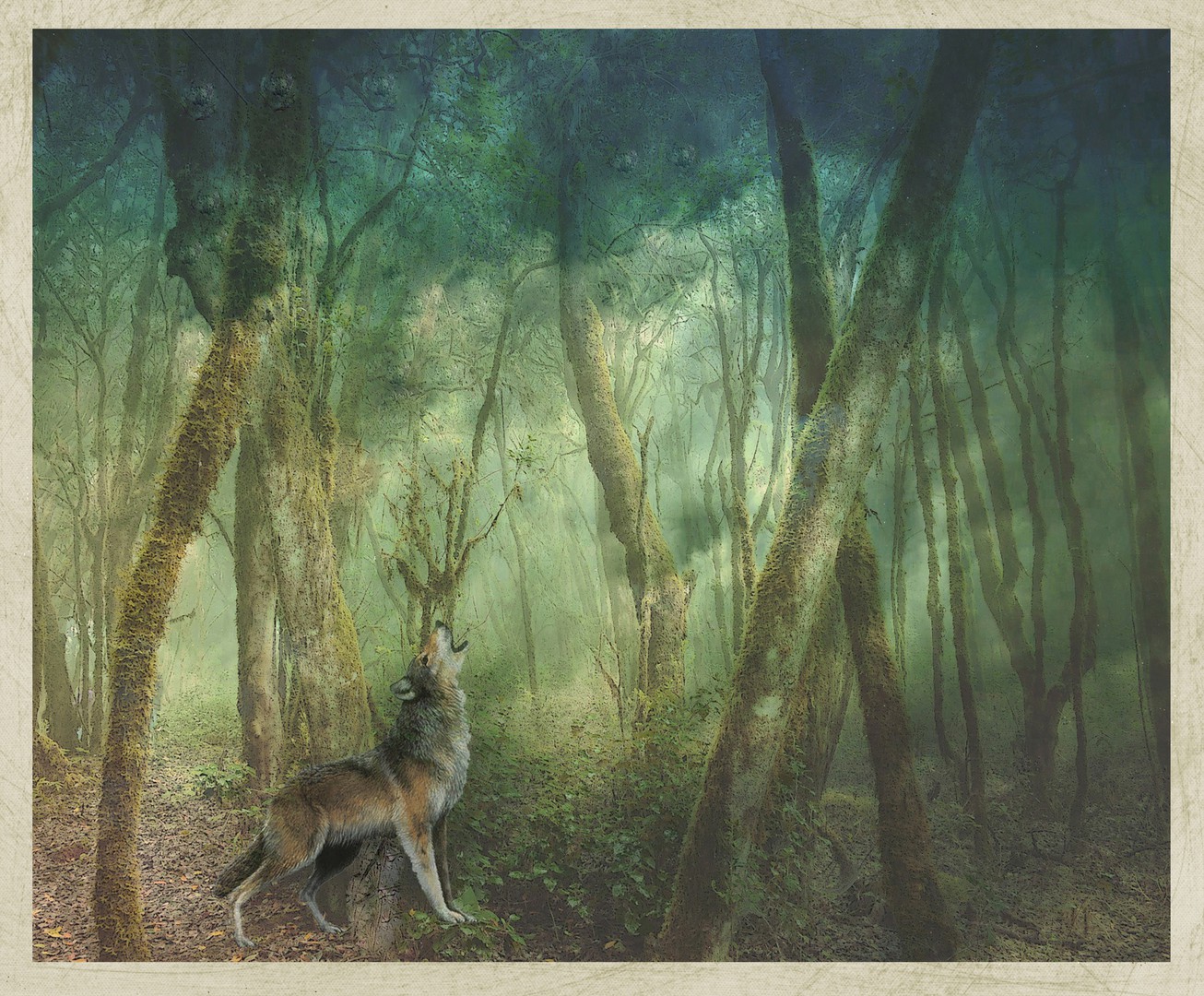 Der Wolf