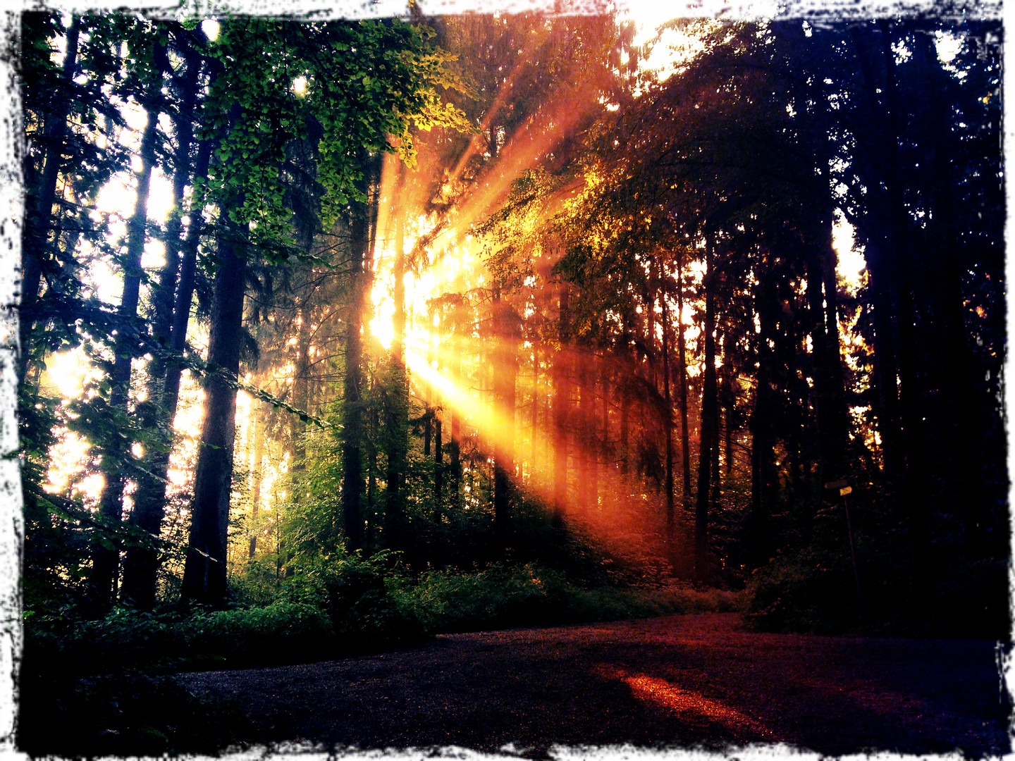 Morgensonne