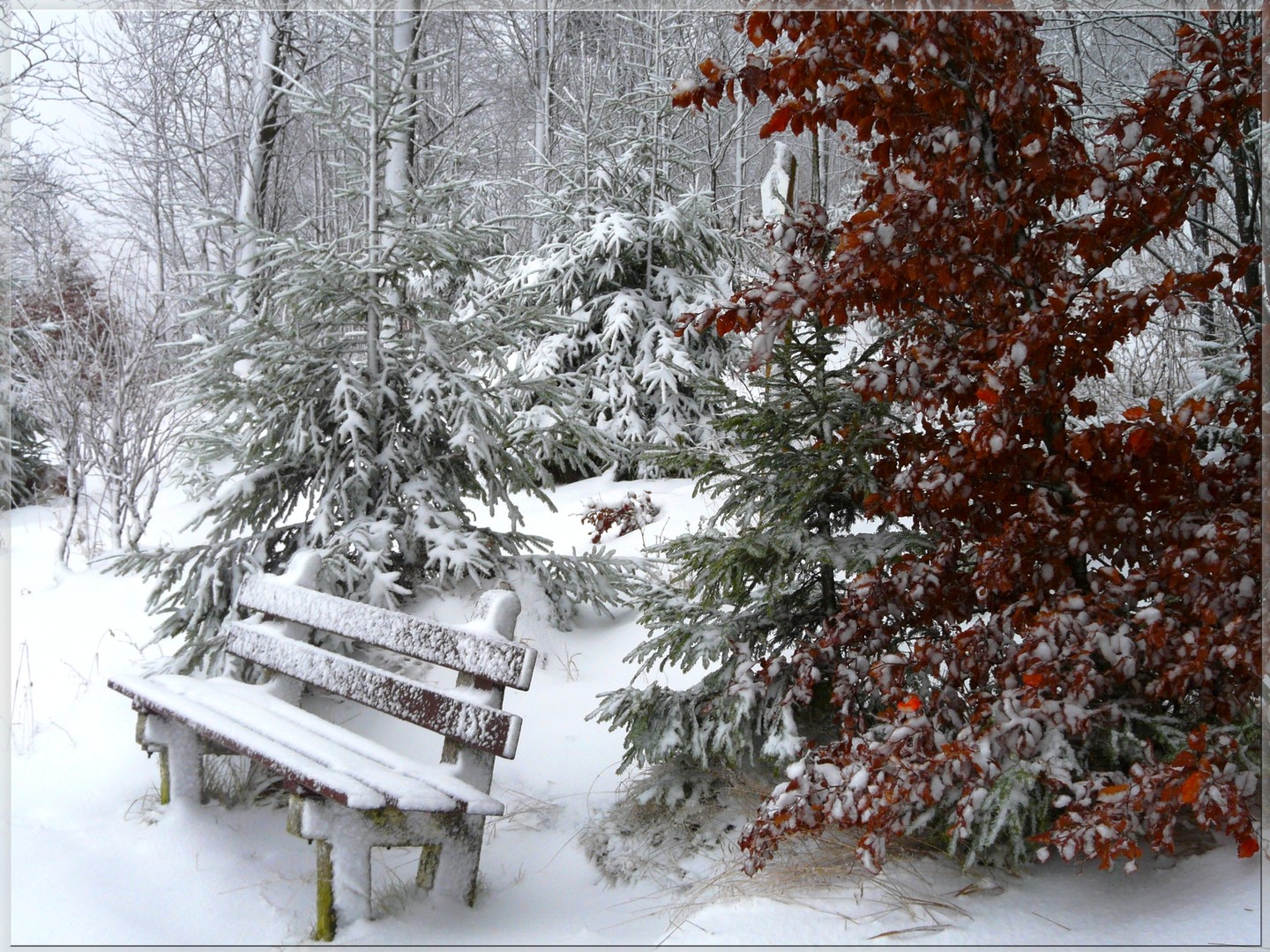 Winterzauber