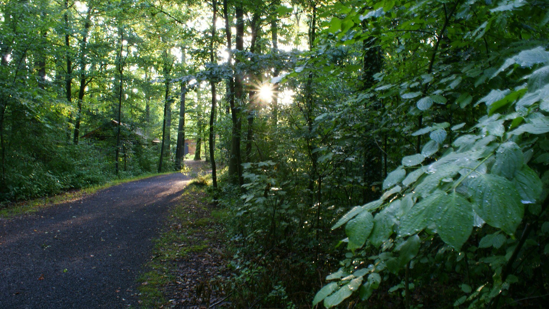Stille