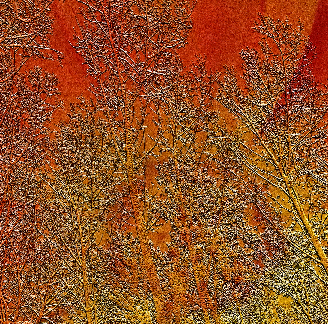 Herbstimpression