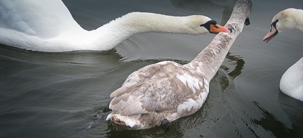 Erziehungsmassnahmen