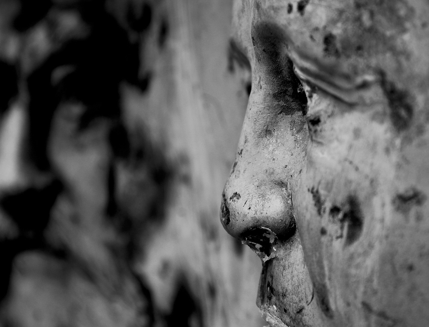 TWO FACES