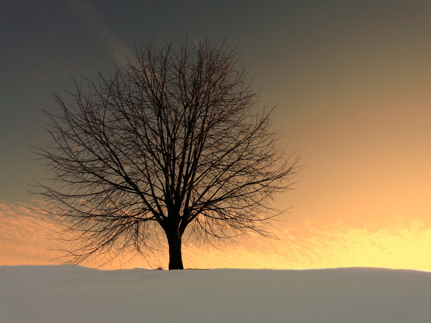 Wintersonne
