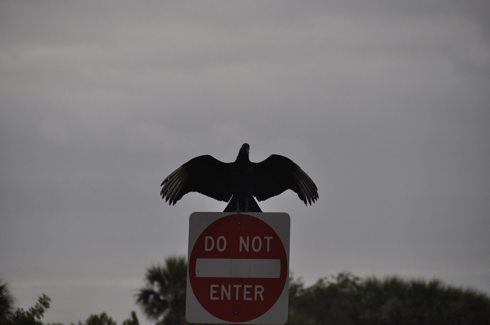 I really mean it, do not enter