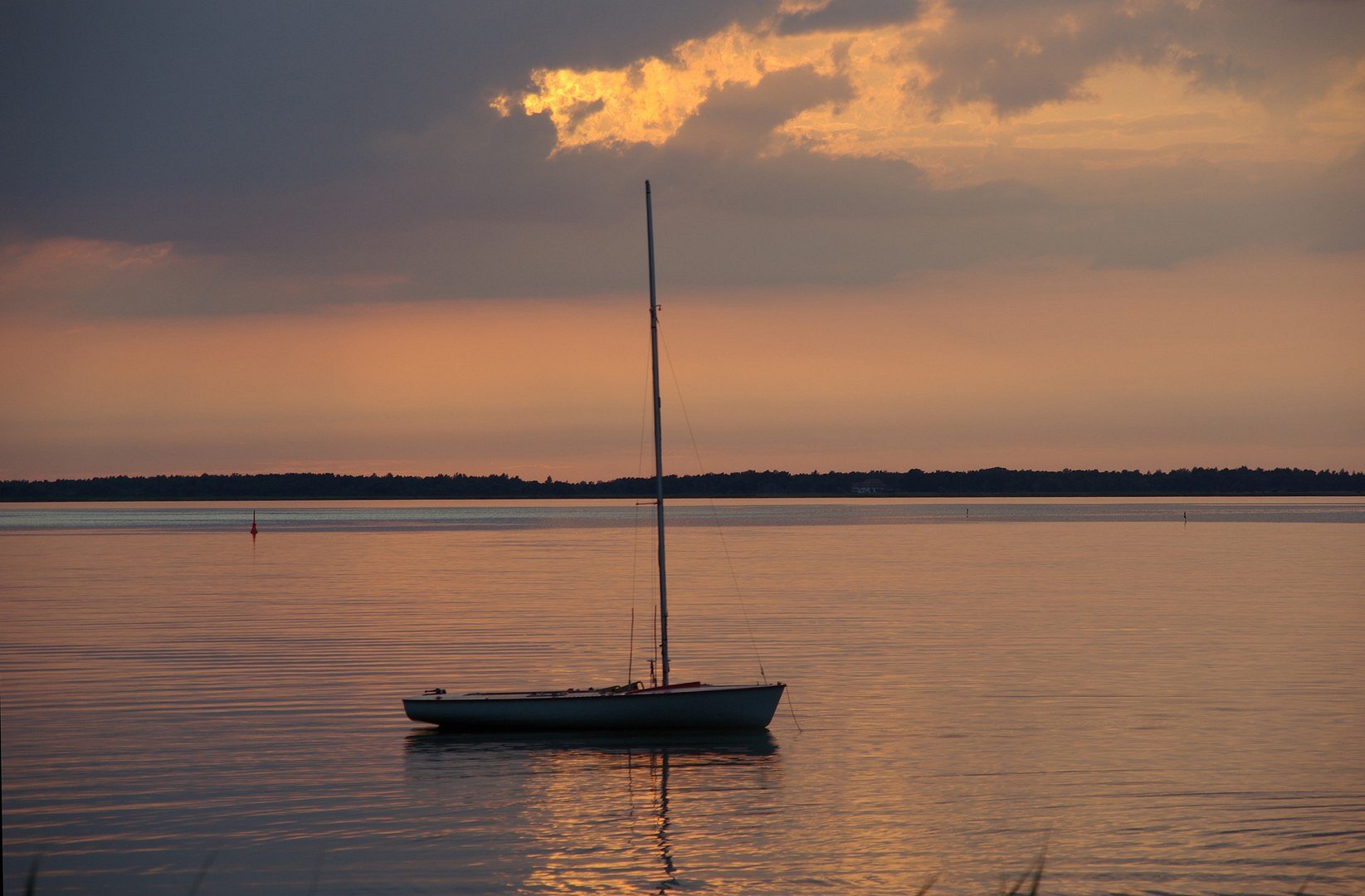 Late In The Evening