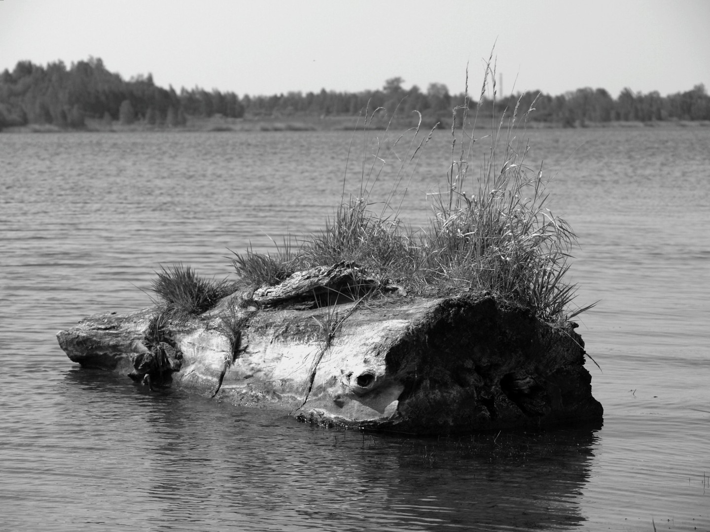 die kleine Insel